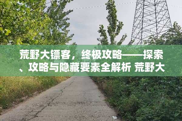荒野大镖客，终极攻略——探索、攻略与隐藏要素全解析 荒野大镖客玩法