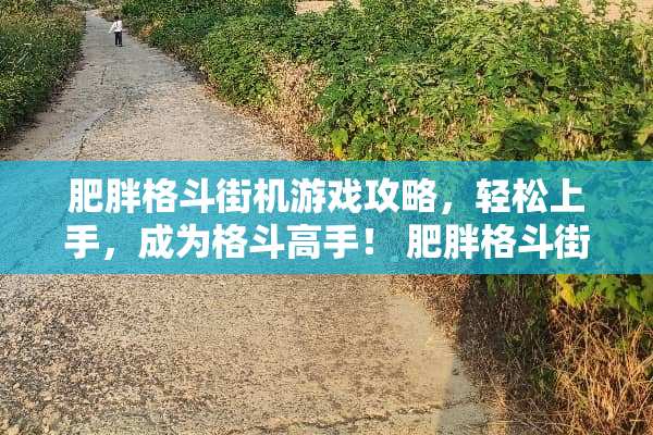 肥胖格斗街机游戏攻略，轻松上手，成为格斗高手！ 肥胖格斗街机游戏攻略