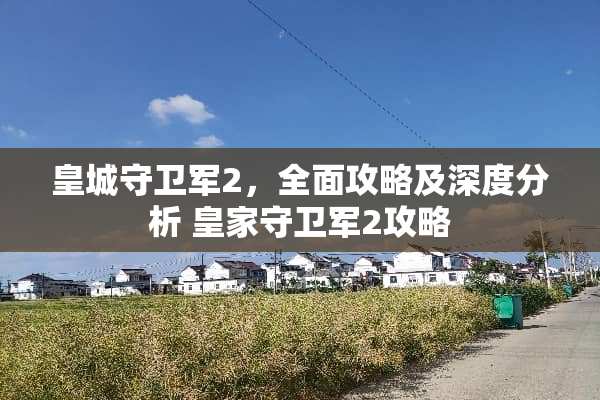 皇城守卫军2，全面攻略及深度分析 皇家守卫军2攻略