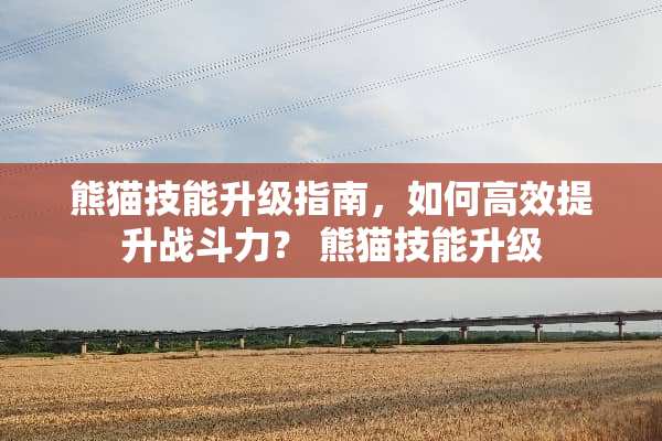 熊猫技能升级指南，如何高效提升战斗力？ 熊猫技能升级