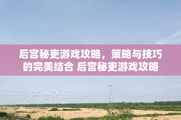 后宫秘吏游戏攻略，策略与技巧的完美结合 后宫秘吏游戏攻略