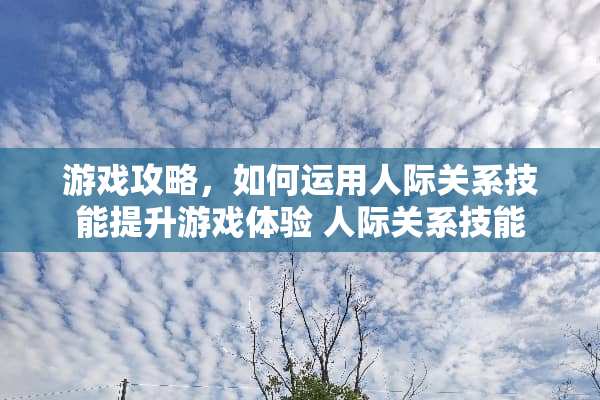 游戏攻略，如何运用人际关系技能提升游戏体验 人际关系技能