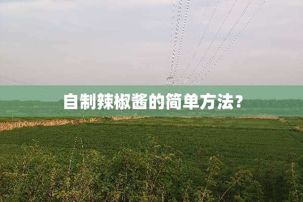 自制辣椒酱的简单方法？