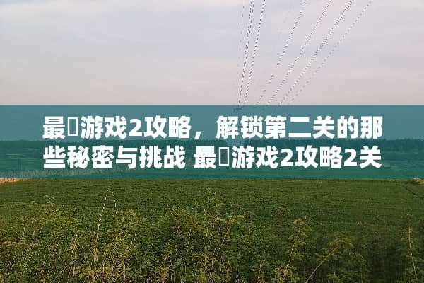 最囧游戏2攻略，解锁第二关的那些秘密与挑战 最囧游戏2攻略2关