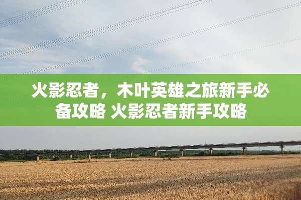 火影忍者，木叶英雄之旅新手必备攻略 火影忍者新手攻略