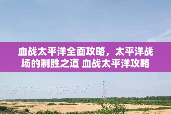 血战太平洋全面攻略，太平洋战场的制胜之道 血战太平洋攻略
