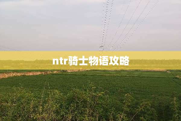 ntr骑士物语攻略