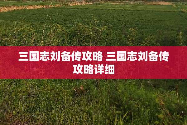 三国志刘备传攻略 三国志刘备传攻略详细