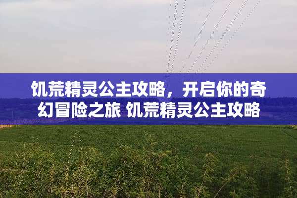饥荒精灵公主攻略，开启你的奇幻冒险之旅 饥荒精灵公主攻略