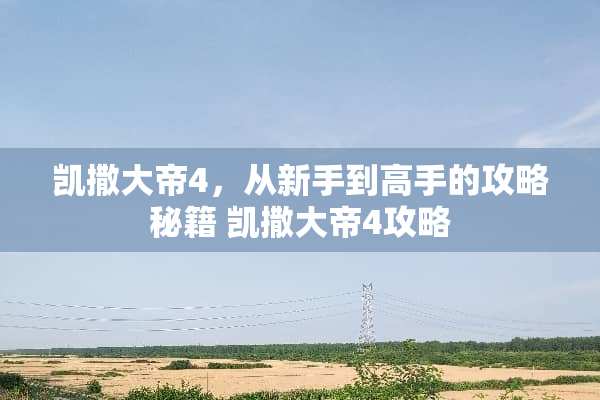 凯撒大帝4，从新手到高手的攻略秘籍 凯撒大帝4攻略