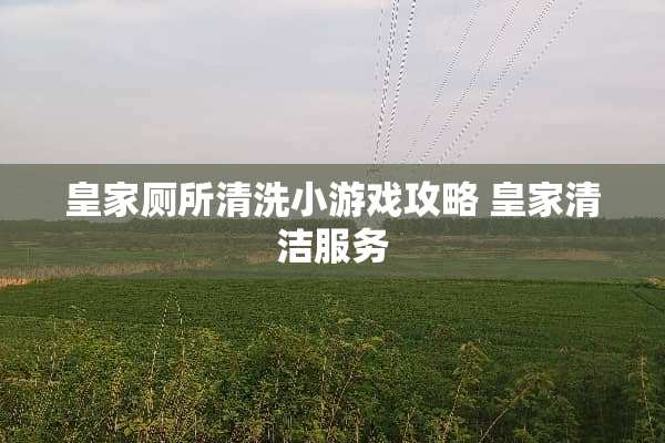 皇家厕所清洗小游戏攻略 皇家清洁服务