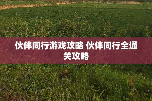 伙伴同行游戏攻略 伙伴同行全通关攻略