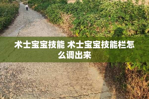 术士宝宝技能 术士宝宝技能栏怎么调出来