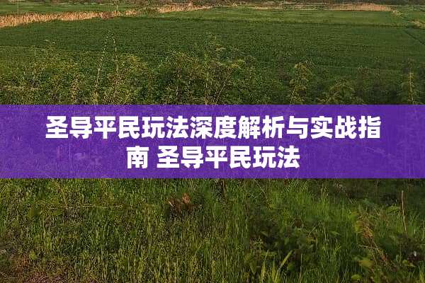 圣导平民玩法深度解析与实战指南 圣导平民玩法