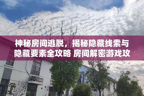 神秘房间逃脱，揭秘隐藏线索与隐藏要素全攻略 房间解密游戏攻略