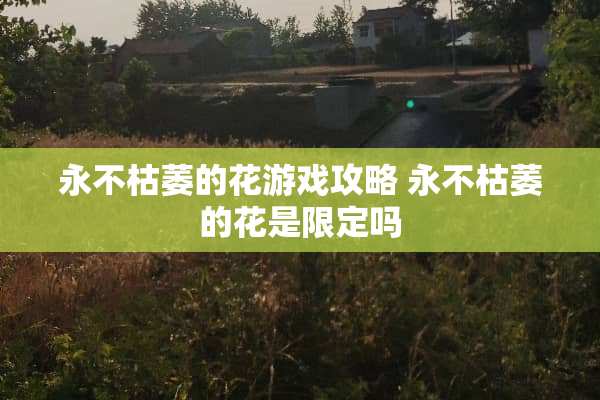 永不枯萎的花游戏攻略 永不枯萎的花是限定吗
