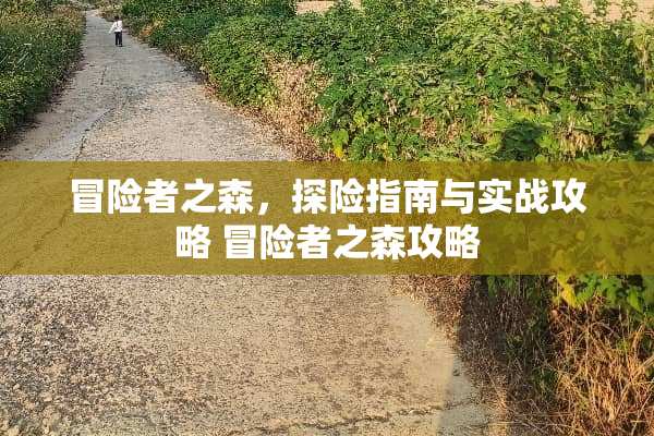 冒险者之森，探险指南与实战攻略 冒险者之森攻略