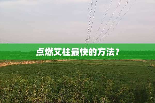 点燃艾柱最快的方法？