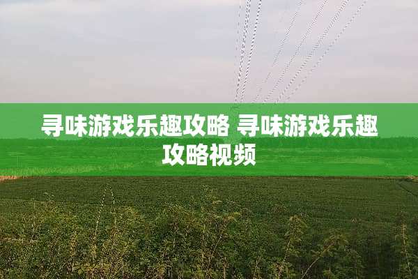 寻味游戏乐趣攻略 寻味游戏乐趣攻略视频