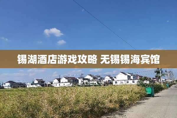 锡湖酒店游戏攻略 无锡锡海宾馆