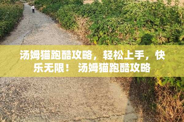 汤姆猫跑酷攻略，轻松上手，快乐无限！ 汤姆猫跑酷攻略