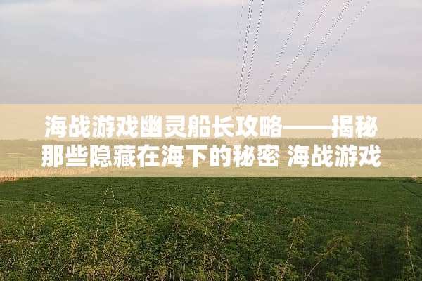 海战游戏幽灵船长攻略——揭秘那些隐藏在海下的秘密 海战游戏幽灵船长攻略