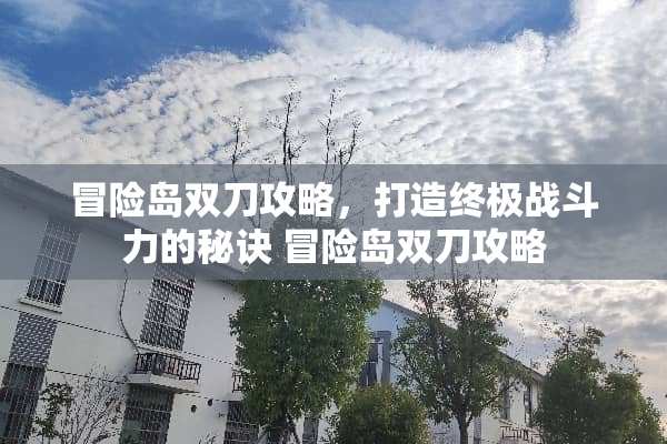 冒险岛双刀攻略，打造终极战斗力的秘诀 冒险岛双刀攻略