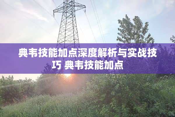 典韦技能加点深度解析与实战技巧 典韦技能加点