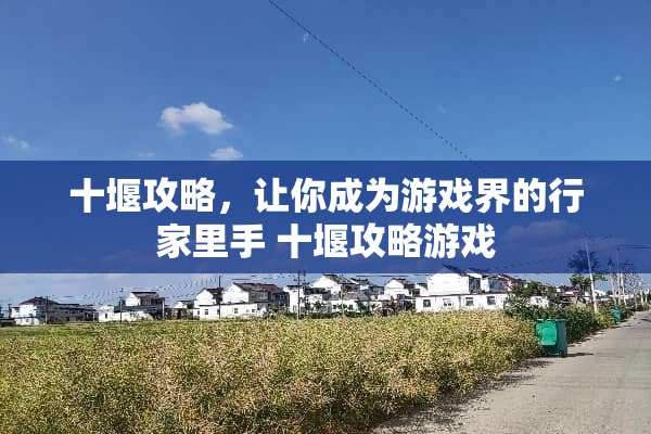 十堰攻略，让你成为游戏界的行家里手 十堰攻略游戏