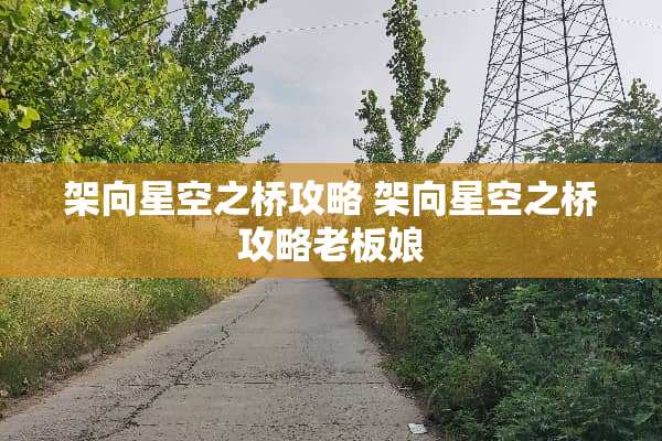 架向星空之桥攻略 架向星空之桥攻略老板娘