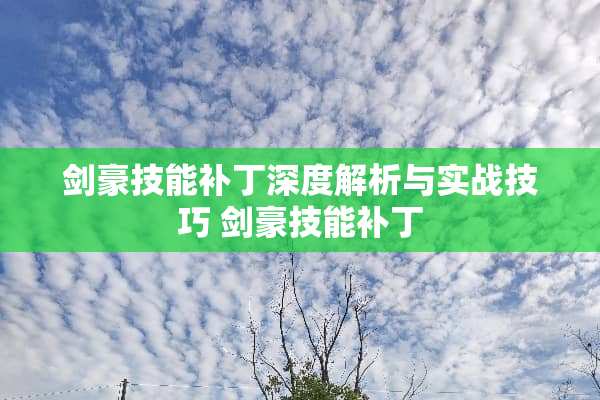 剑豪技能补丁深度解析与实战技巧 剑豪技能补丁