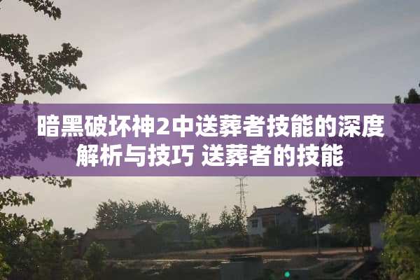 暗黑破坏神2中送葬者技能的深度解析与技巧 送葬者的技能