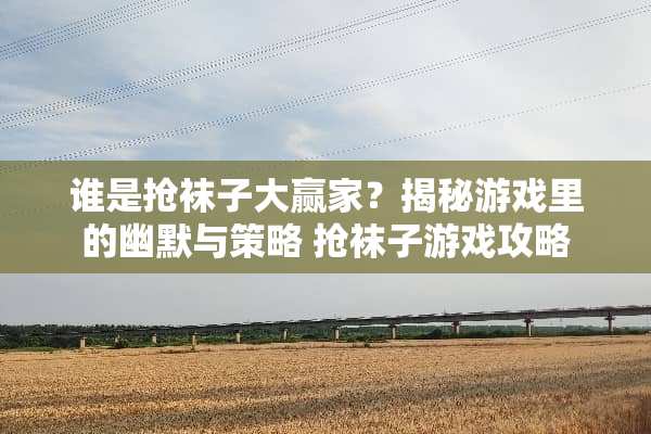 谁是抢袜子大**？揭秘游戏里的幽默与策略 抢袜子游戏攻略