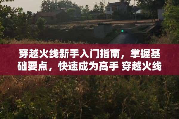 穿越火线新手入门指南，掌握基础要点，快速成为高手 穿越火线新手攻略