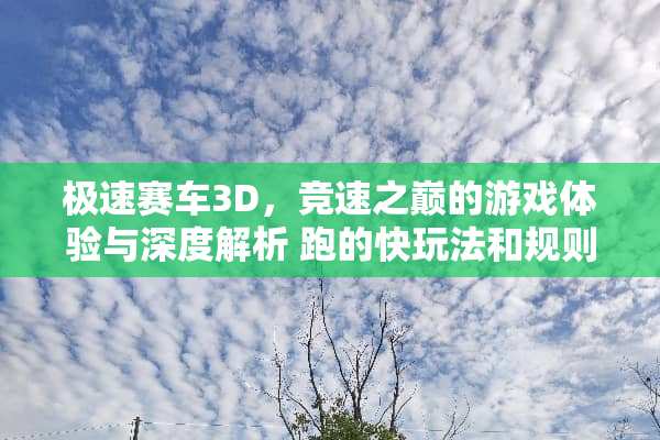 极速赛车3D，竞速之巅的游戏体验与深度解析 跑的快玩法和规则