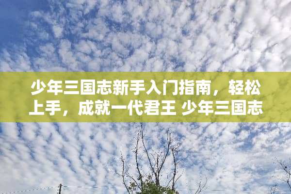 少年三国志新手入门指南，轻松上手，成就一代君王 少年三国志新手攻略