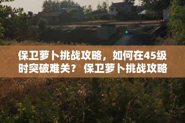 保卫萝卜挑战攻略，如何在45级时突破难关？ 保卫萝卜挑战攻略45