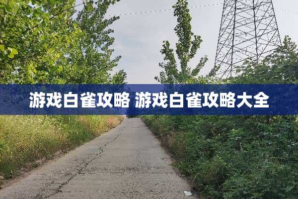 游戏白雀攻略 游戏白雀攻略大全