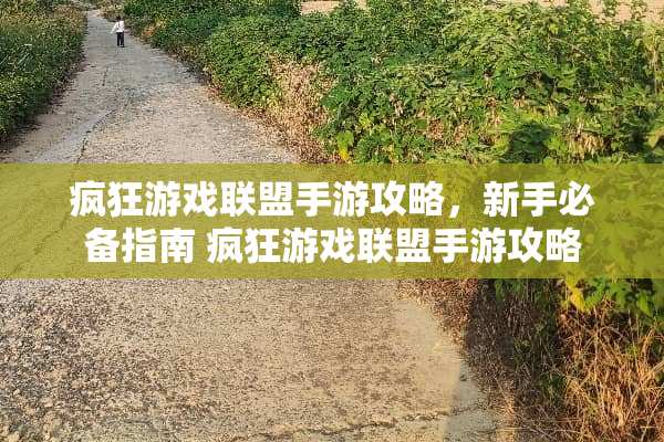 疯狂游戏联盟手游攻略，新手必备指南 疯狂游戏联盟手游攻略