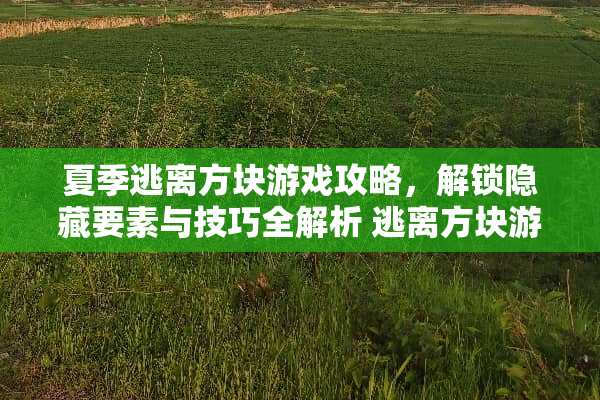 夏季逃离方块游戏攻略，解锁隐藏要素与技巧全解析 逃离方块游戏攻略夏季