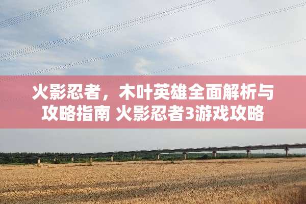 火影忍者，木叶英雄全面解析与攻略指南 火影忍者3游戏攻略