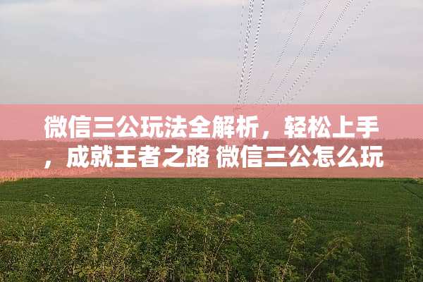 微信三公玩法全解析，轻松上手，成就王者之路 微信三公怎么玩法