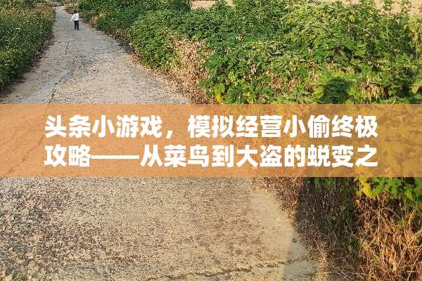 头条小游戏，模拟经营小偷终极攻略——从菜鸟到大盗的蜕变之旅 头条小游戏模拟小偷攻略