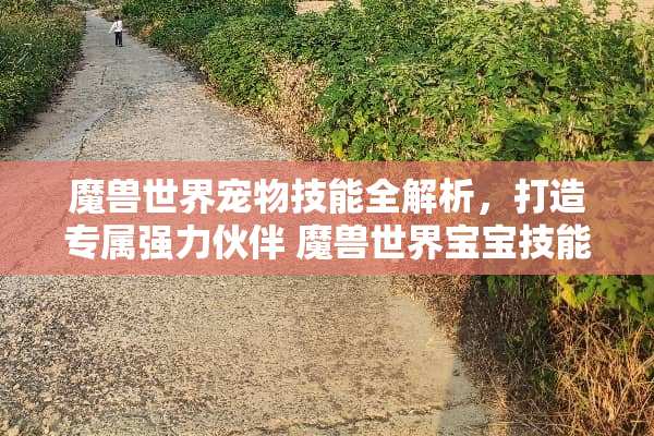 魔兽世界宠物技能全解析，打造专属强力伙伴 魔兽世界宝宝技能大全