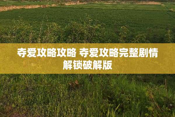**攻略攻略 **攻略完整剧情解锁**版