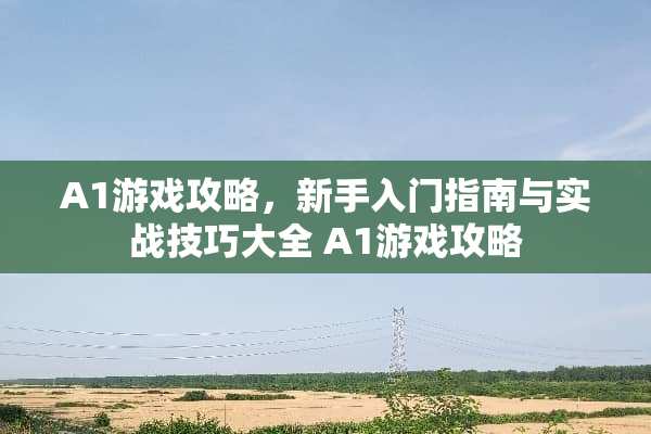 A1游戏攻略，新手入门指南与实战技巧大全 A1游戏攻略