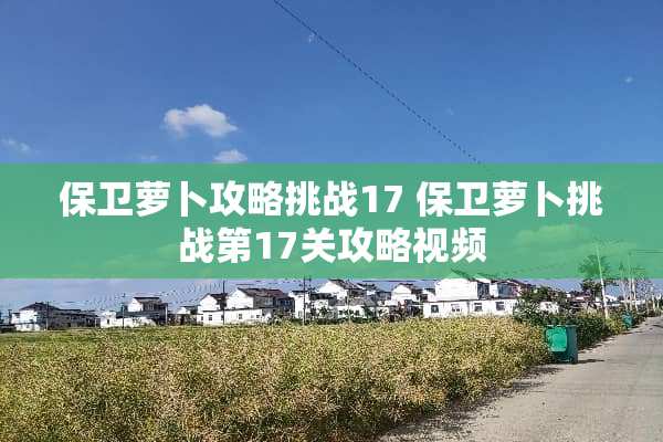保卫萝卜攻略挑战17 保卫萝卜挑战第17关攻略视频