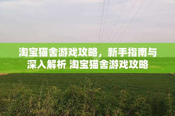 淘宝猫舍游戏攻略，新手指南与深入解析 淘宝猫舍游戏攻略