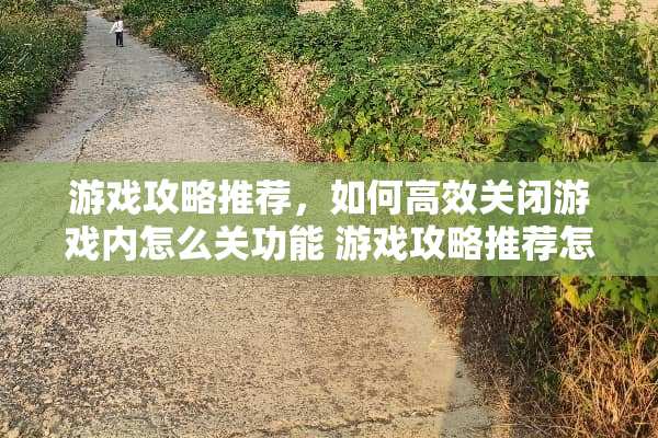 游戏攻略推荐，如何高效关闭游戏内怎么关功能 游戏攻略推荐怎么关