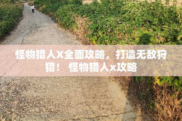 怪物猎人X全面攻略，打造无敌**！ 怪物猎人x攻略